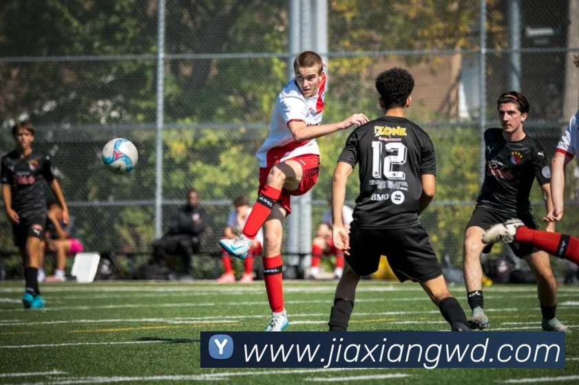 多媒体互动体验